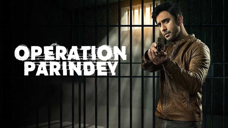 Operation Parindey 2020 Hindi Movie 720p HDRip x264 [500MB]