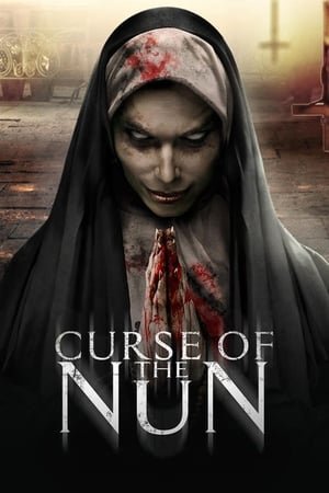 Curse of the Nun (2019) Hindi Dual Audio 720p BluRay [800MB]