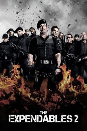 The Expendables 2 (2012) 100mb Hindi Dual Audio movie Hevc BRRip Download