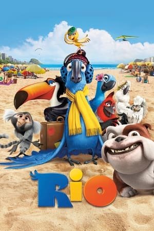 Rio (2011) 100mb Hindi Dual Audio movie Hevc 130MB