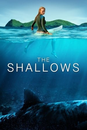 The Shallows 2016 Dual Audio (Hindi) 720p [1GB]