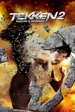 Tekken Kazuyas Revenge 2014 Hindi Dual Audio 720p BluRay [900MB]