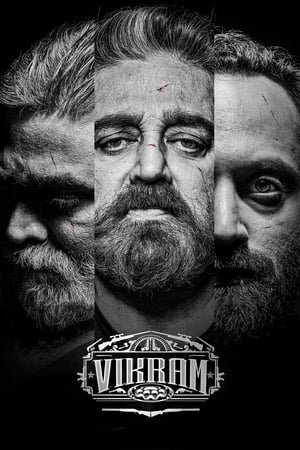 Vikram 2022 Hindi Dual Audio WEB-DL 720p - 480p - 1080p