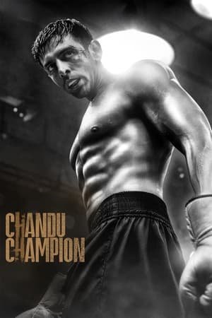 Chandu Champion 2024 Hindi HDRip 720p – 480p – 1080p