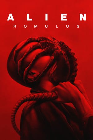 Alien: Romulus 2024 Hindi (Org) Dual Audio Web-DL 1080p – 720p – 480p