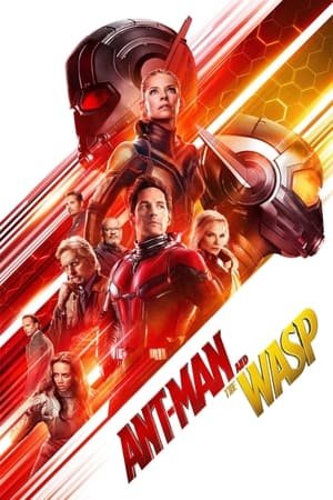 Ant Man and the Wasp (2018) Hindi (Org) Dual Audio 720p BluRay [1.1GB]