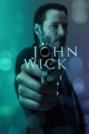 John wick 2014 100mb Hindi Dual Audio movie Hevc BRRip Download