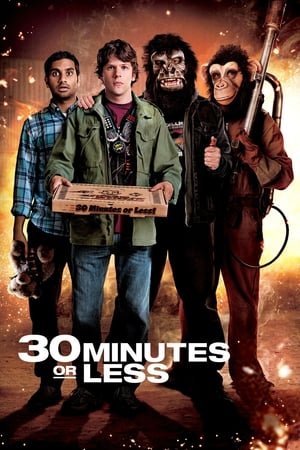 30 Minutes or Less (2011) Hindi Dual Audio 480p BluRay 280MB