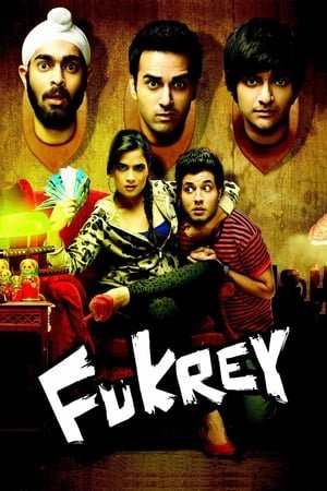 Fukrey (2013) Full Movie Bluray Download - 1GB