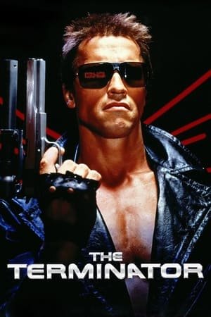 The Terminator (1984) Hindi Dual Audio 720p BluRay [800MB]