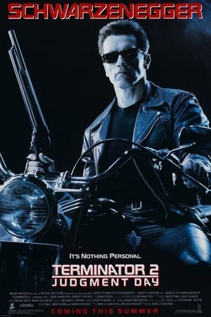 Terminator 2 (1991) Hindi Dual Audio 720p BluRay [950MB]