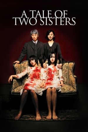 A Tale of Two Sisters 2003 Hindi Dual Audio WEB-DL 720p - 480p - 1080p