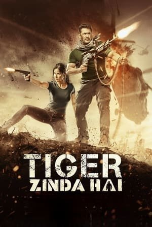 Tiger Zinda Hai 2017 Hindi Movie BluRay 720p Hevc [700MB]