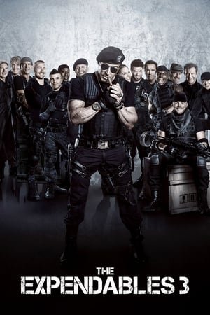 The Expendables 3 (2014) 100mb Hindi Dual Audio movie Hevc BRRip Download