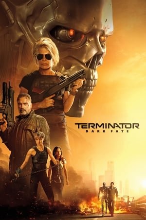 Terminator Dark Fate (2019) Hindi (Org) Dual Audio 480p BluRay 400MB