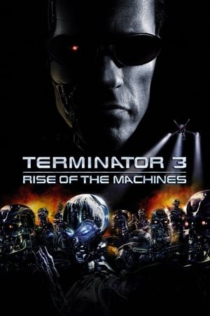 Terminator 3: Rise of the Machines (2003) Hindi Dual Audio 720p BluRay [850MB]