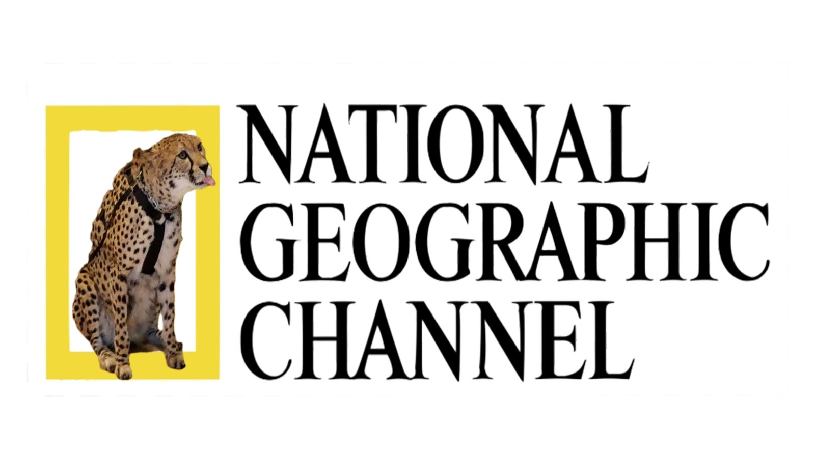 Nat Geo Animals