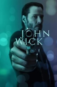 John Wick 2014 Hollywood Action/Thriller Movie Hindi Dubbed Watch Online