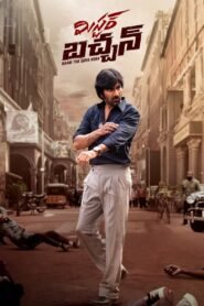 Mr Bachchan 2024 NF Dual Audio (Telugu 5.1 – Tamil 5.1) ORG 1080p 720p 480p WEB-DL x264 ESubs