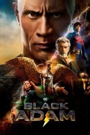 Black Adam 2022 Dual Audio Hindi ORG 1080p 720p 480p BluRay x264 ESubs