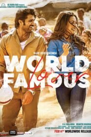 World Famous Lover (2020) Dual Audio Hindi 480p HDRip 500MB ESubs