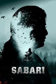 Sabari 2024 Hindi (ORG 5.1) True 4K 1080p 720p 480p WEB-DL x264