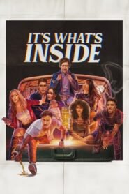 It’s What’s Inside 2024 NF Dual Audio Hindi (ORG 5.1) 1080p 720p 480p WEB-DL x264 Multi Subs