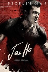 Jai Ho (2014) BluRay Hindi Full Movie 480p [400MB] | 720p [1.2GB] | 1080p [4GB]