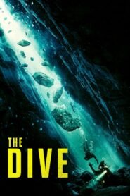 The Dive (2023) WEB-DL Dual Audio [Hindi ORG. + English] Full Movie 480p [300MB] | 720p [1GB] | 1080p [1.3GB]