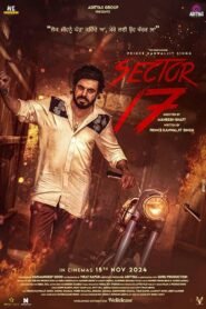 Sector 17 (2024) Punjabi Full Movie HDTS 480p [450MB] | 720p [1.1GB] | 1080p [2.3GB]